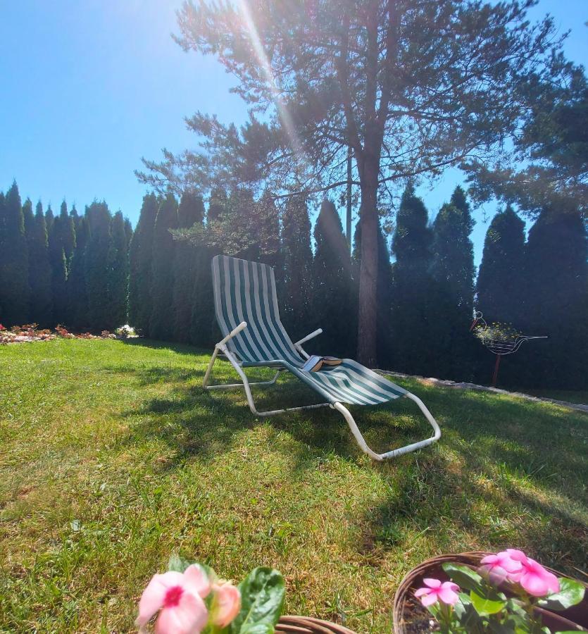 Milicevic Apartament
