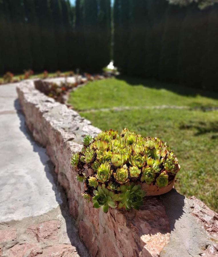 Milicevic Apartament